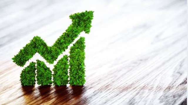 Gráfico de barras de gastos